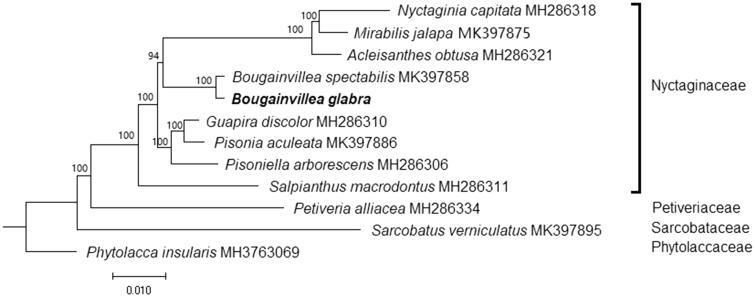 Figure 1.