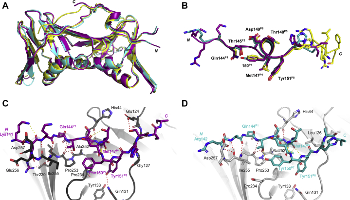 Figure 3