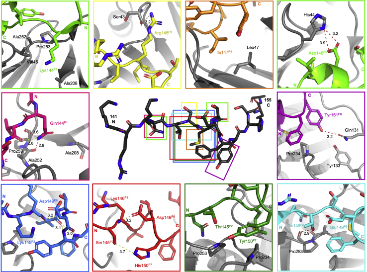 Figure 5