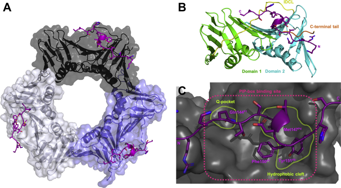 Figure 1