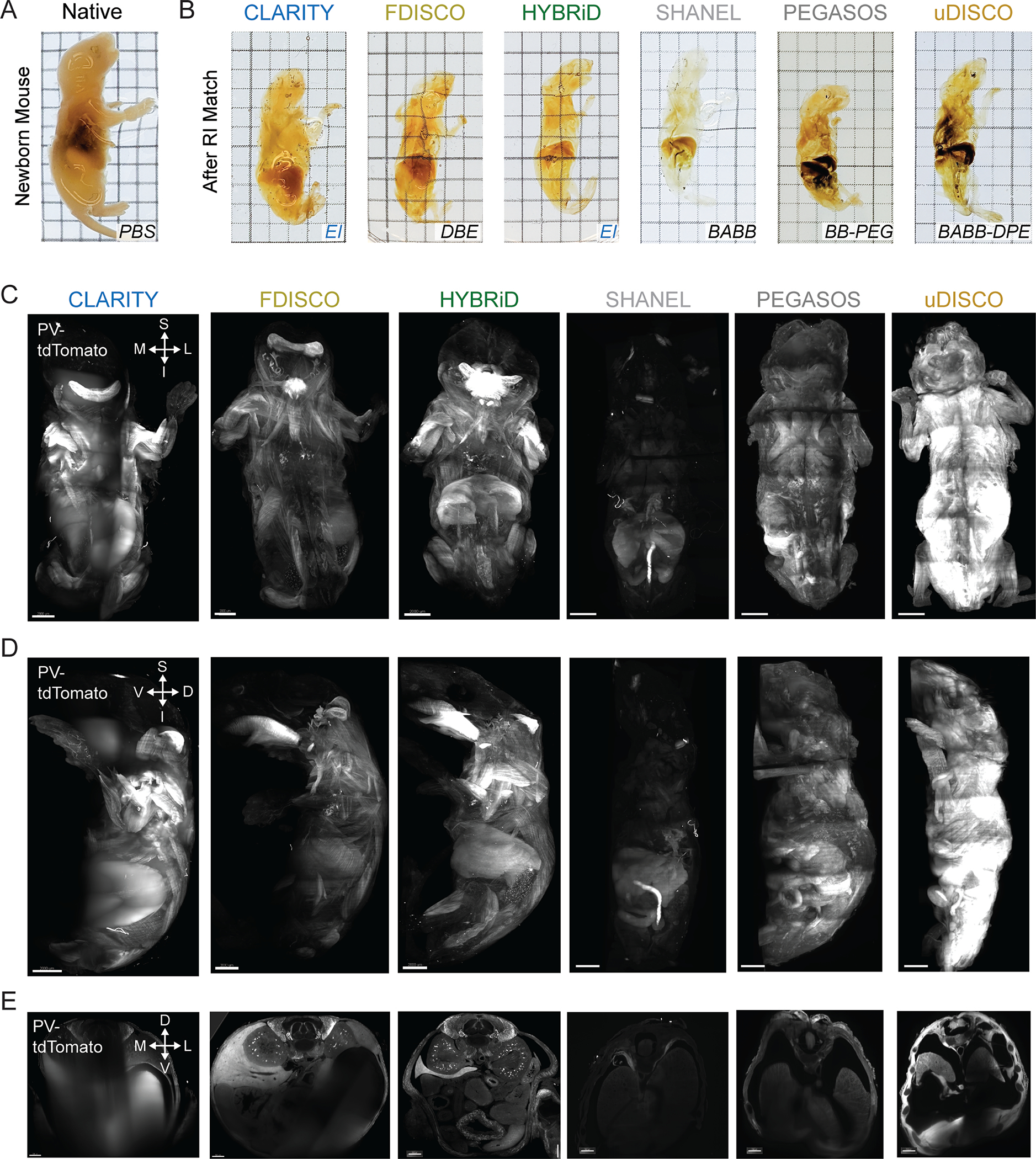 Extended Data Fig. 4