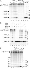 FIG. 4.