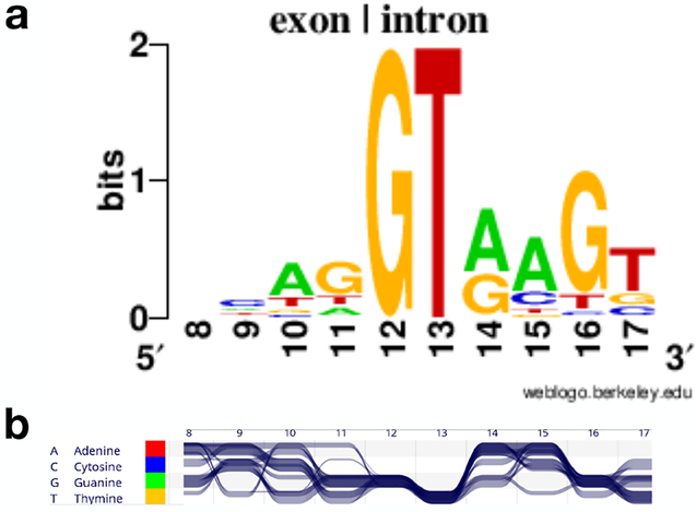 Figure 17: