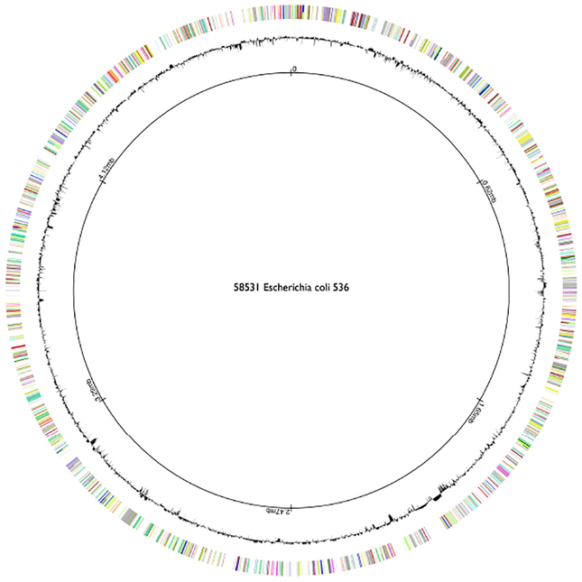 Figure 10: