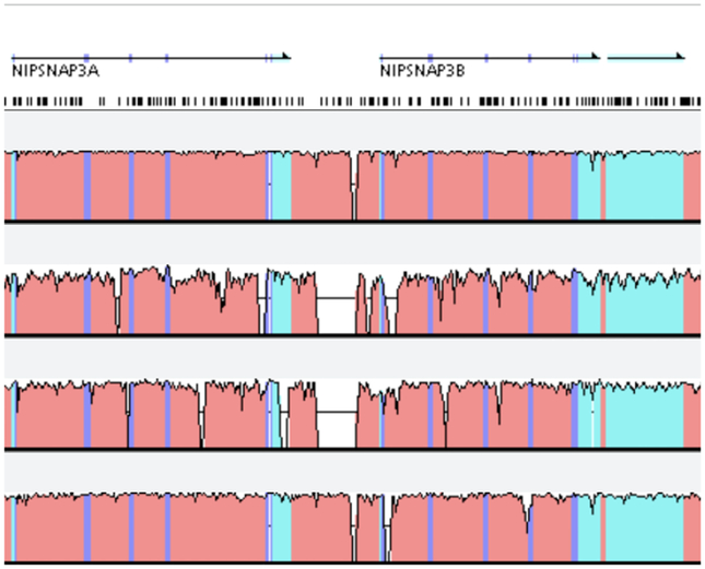 Figure 18: