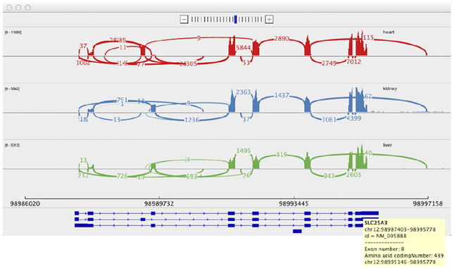 Figure 12: