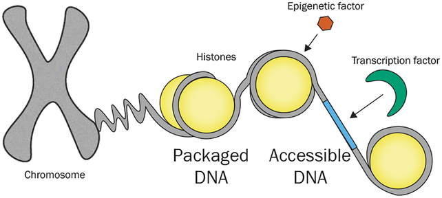 Figure 4: