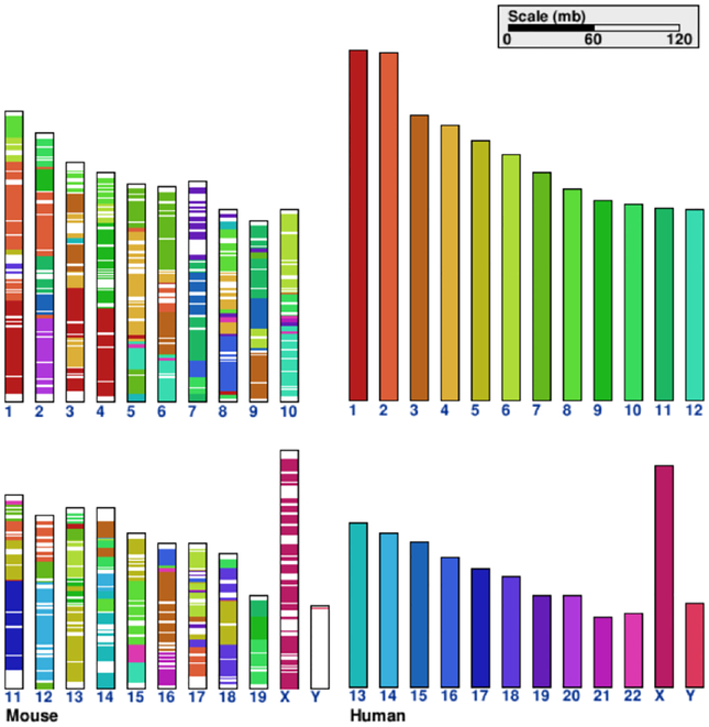 Figure 19: