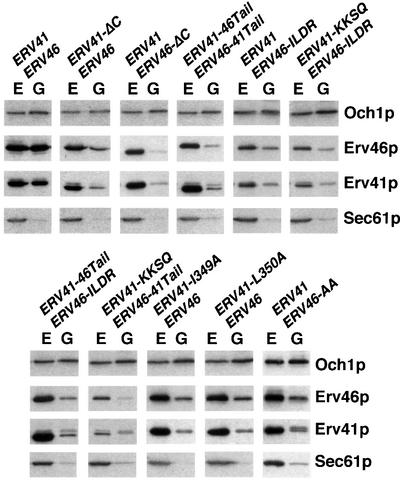 graphic file with name cdf598f4.jpg