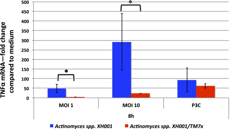 Fig. 3.