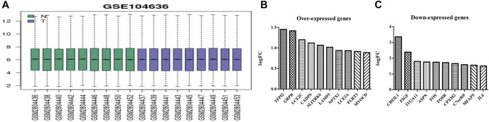 FIGURE 1