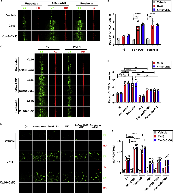 Figure 6