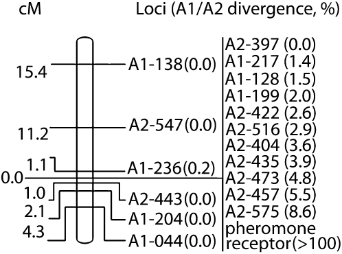 Figure 2.—