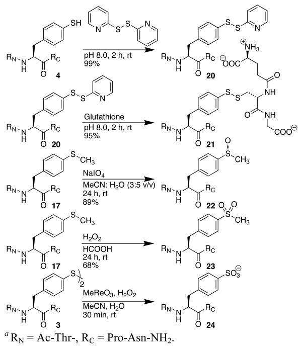 Scheme 4