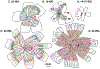 Fig. 12.