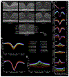 Fig. 10.