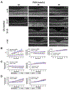 Fig. 9.
