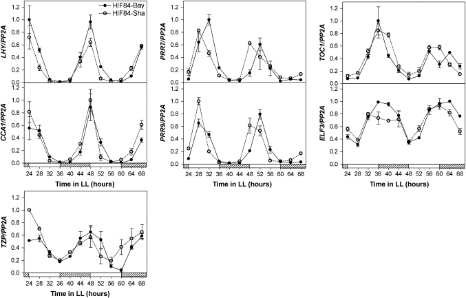 Fig. 8.