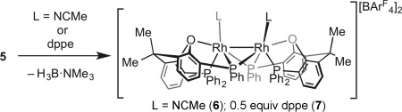 Scheme 4