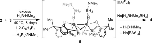 Scheme 3