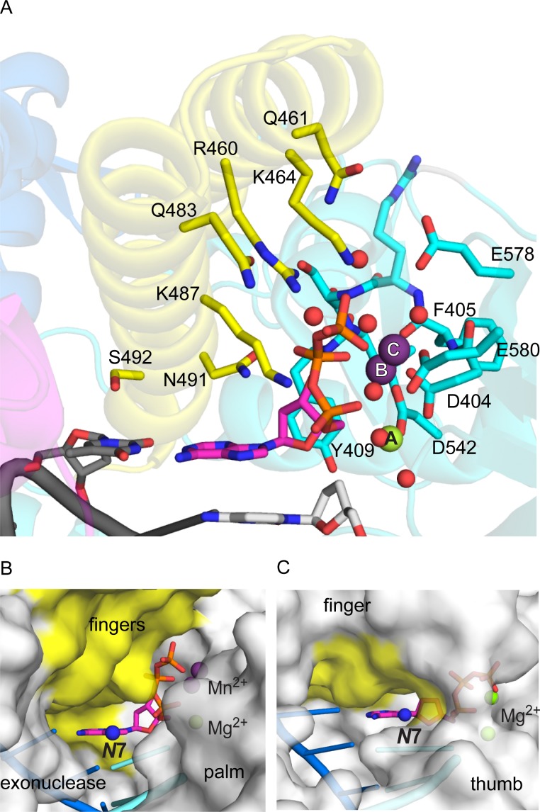 Fig 3