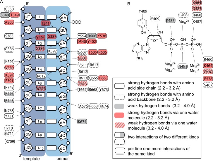 Fig 4