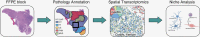 Graphical Abstract