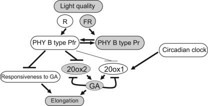 Figure 9.