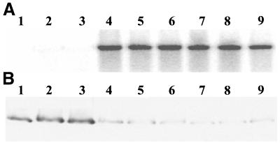 Fig 5.