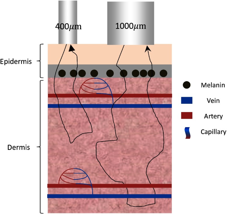 Fig. 1