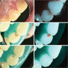 Fig. 3