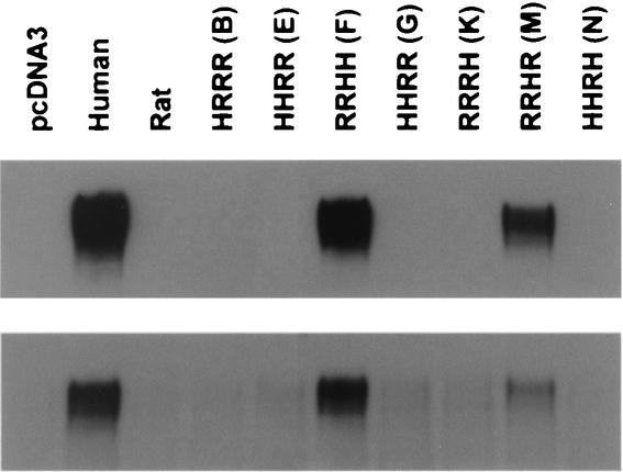 FIG. 5.