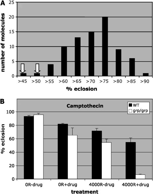 Figure 4.—