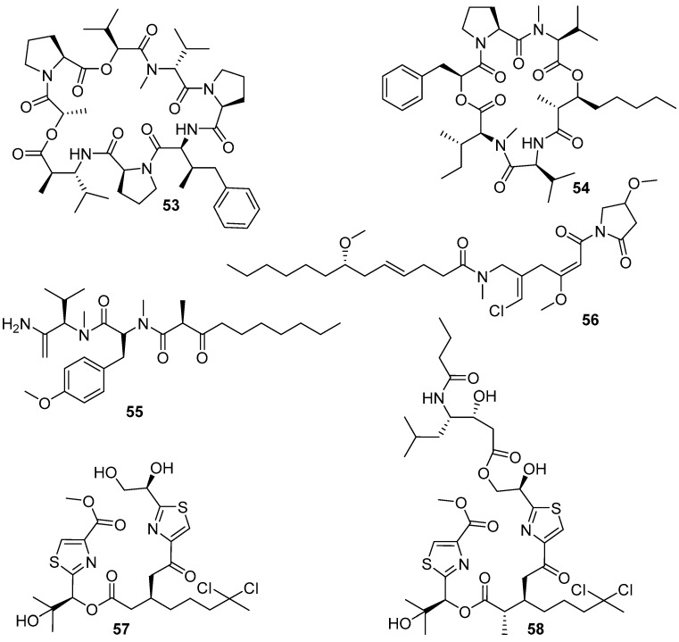 Figure 10