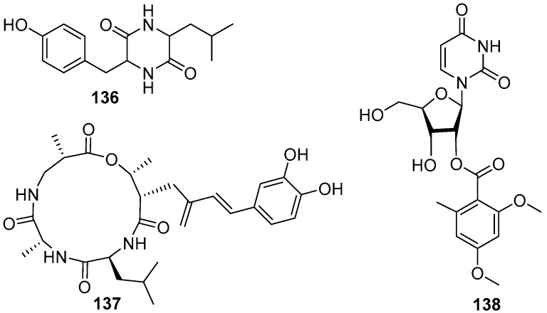 Figure 20