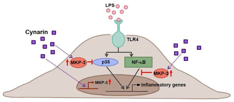 Figure 6.