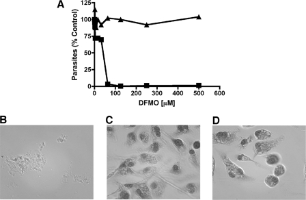 FIG. 5.