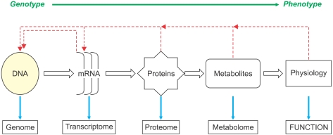 FIG. 1