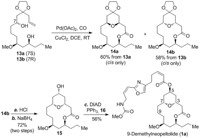 Scheme 3