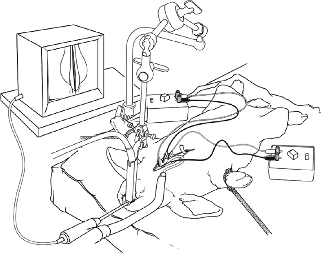 Fig 1