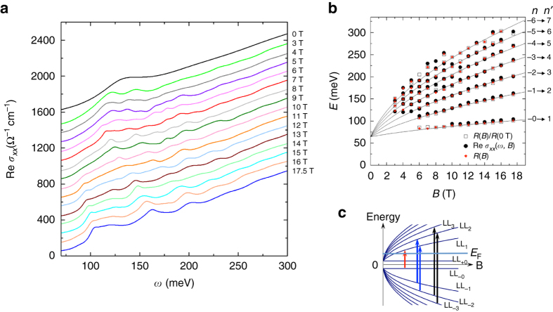 Fig. 3