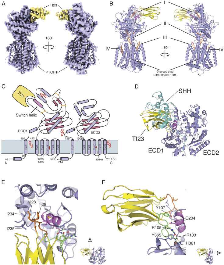 Fig. 2.