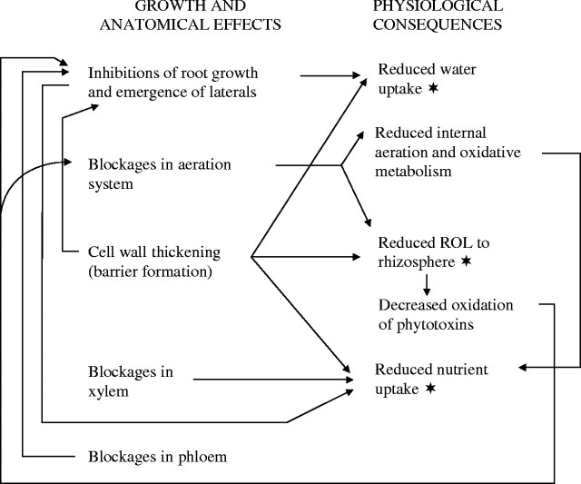 Fig. 9.