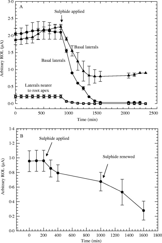 Fig. 4.