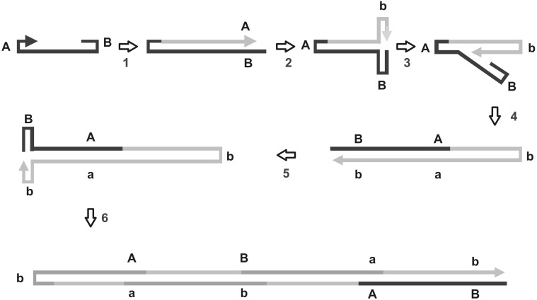 Fig. 2