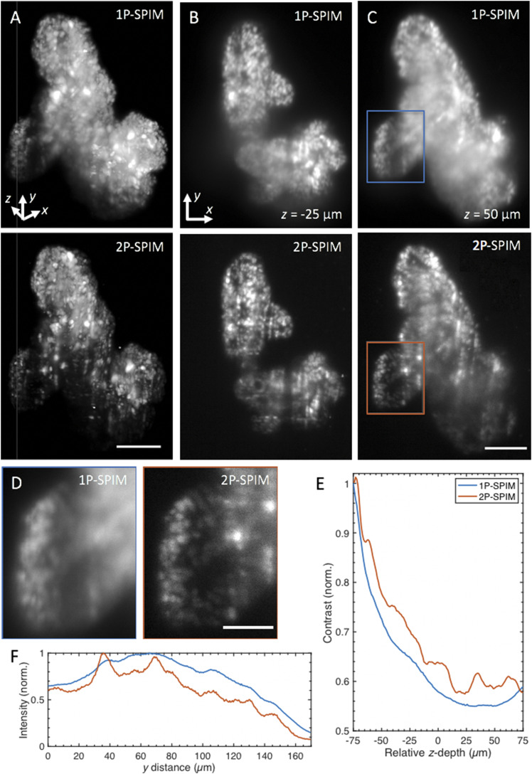 FIG. 10.