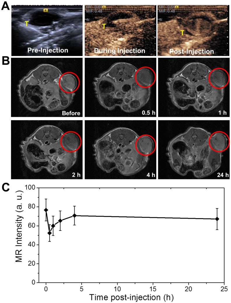 Fig 6