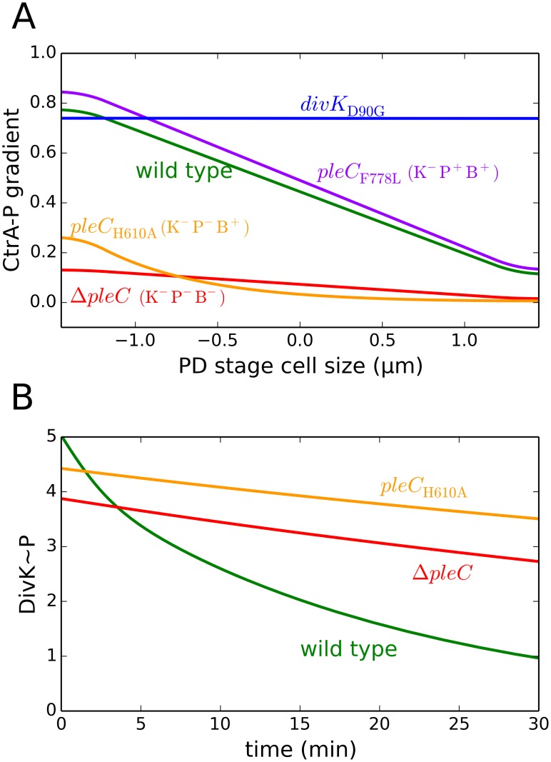 Fig 8