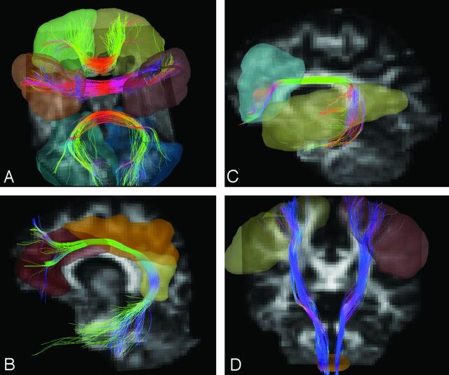 Fig 1.