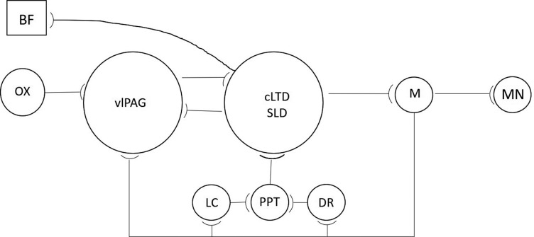 Fig. (1)